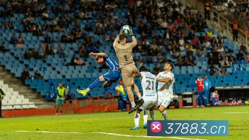 多媒体互动体验